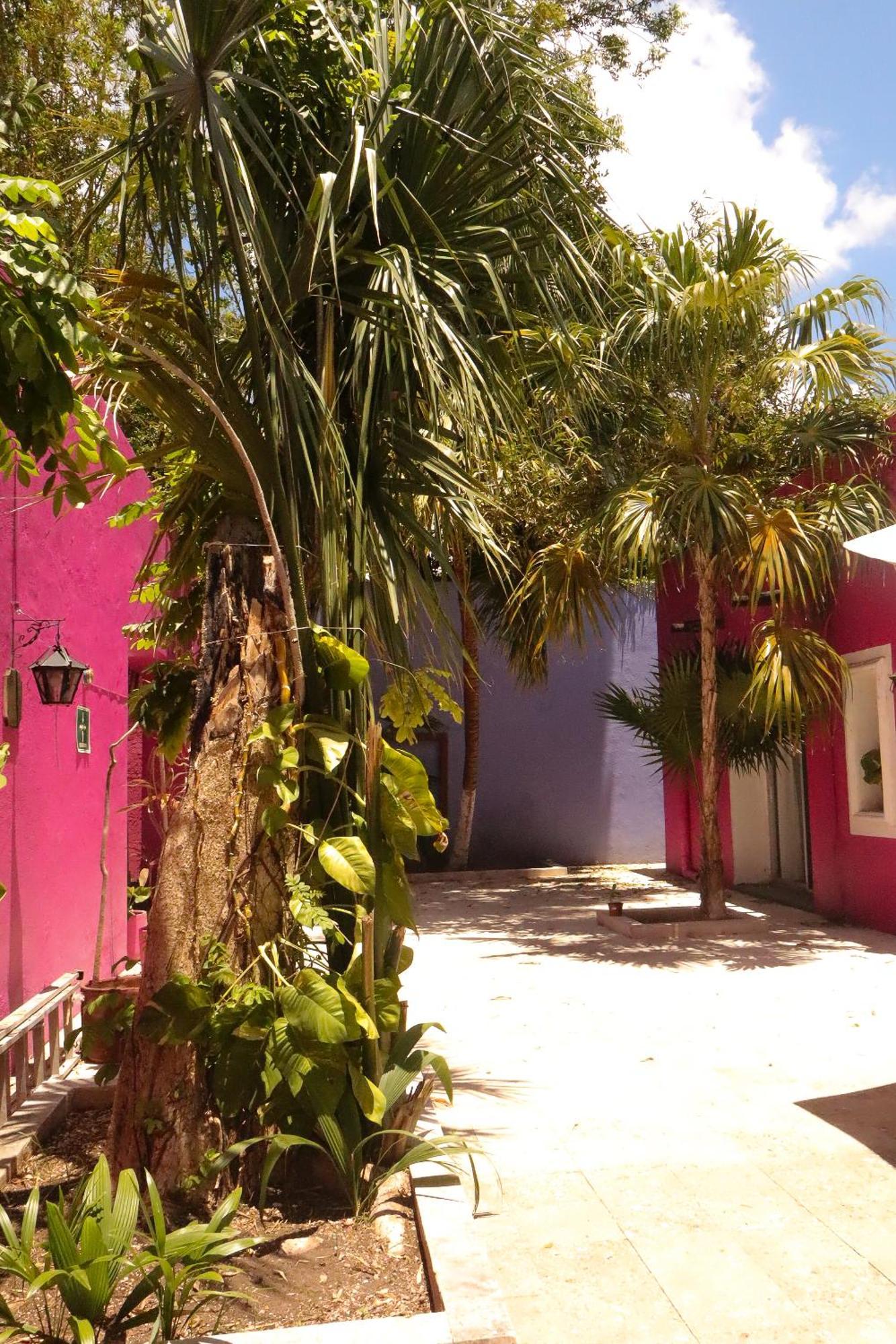Hotel Casa Isabella Cozumel Pokój zdjęcie